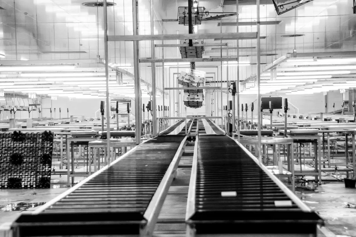 How We Ship 20+ Branded Apps From One Flutter Codebase — and Survive Apple 4.2.6